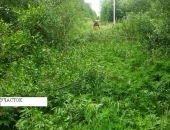 Участок у Нарвского водохранилища на границе с Эстонией - Загородная недвижимость, Продажа земельных участков Ленинградская область